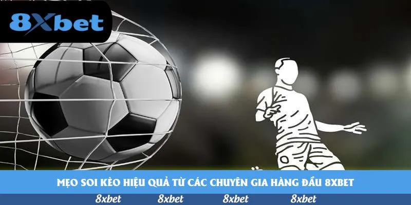 8xbet - cá cược online có an toàn không