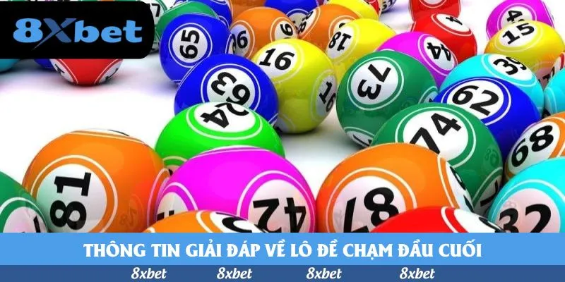8xbet - vào bóng m88