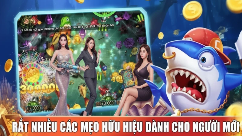 8xbet - hitclub thể thao