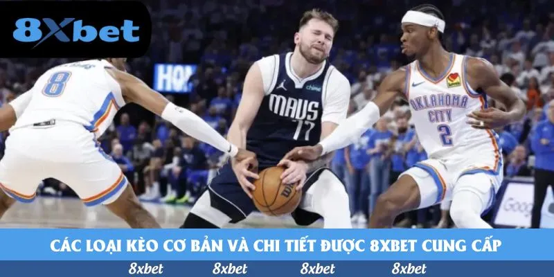 8xbet - nhà cái nào tốt nhất