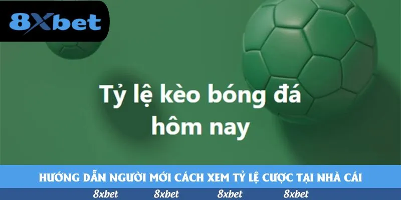 8xbet - link vào one88