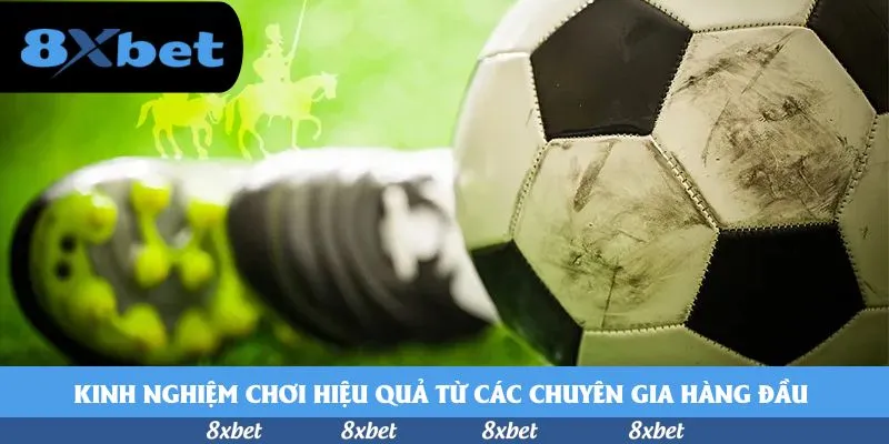 8xbet - cá độ esport