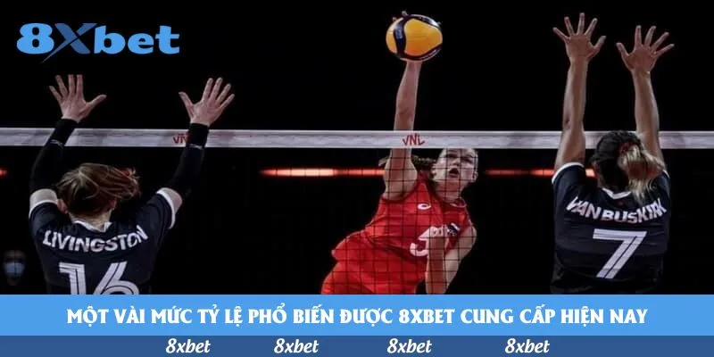 8xbet - đăng ký w88